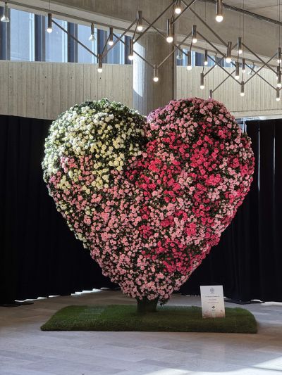 Ervaring, creativiteit en vakmanschap sinds 2003. Freelance florist sinds 2018.